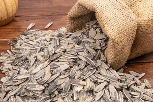 Sunflower Slow Salt